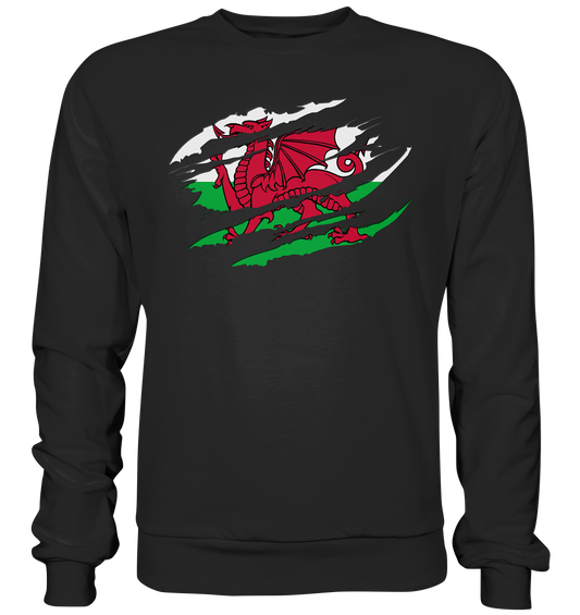 Wales "Flag Scratch" - Premium Sweatshirt